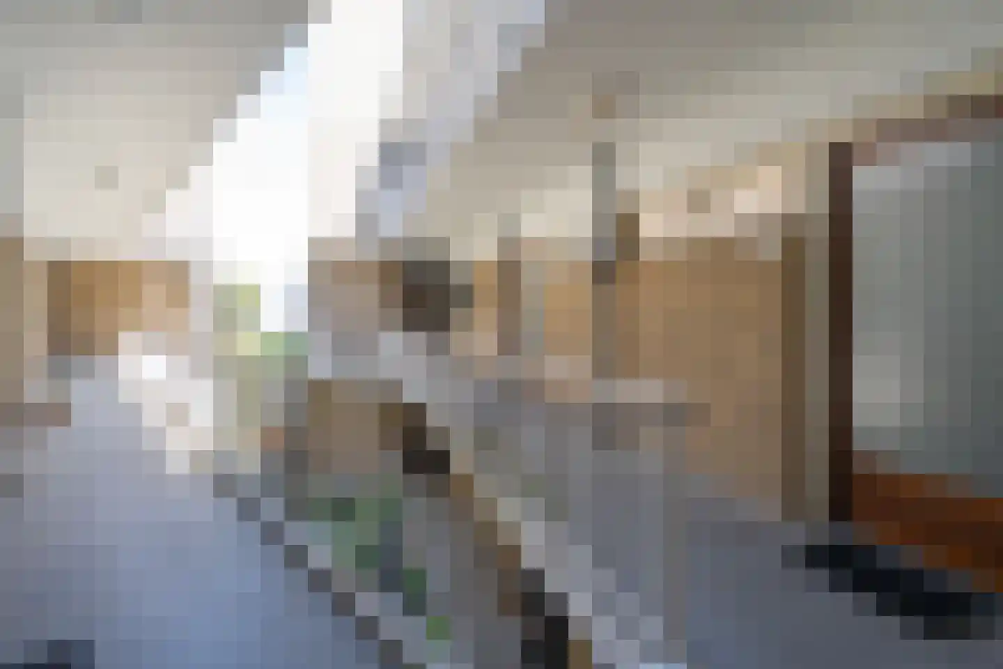 Enschotsestraat 365 Tilburg thumbnail 13