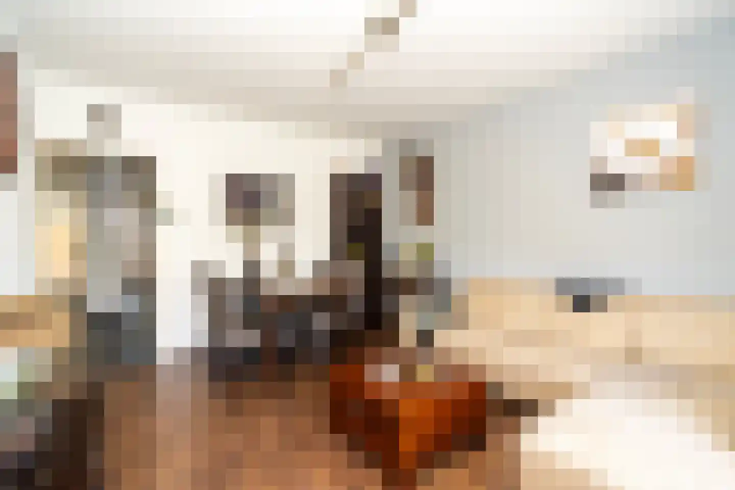 Enschotsestraat 365 Tilburg thumbnail 21