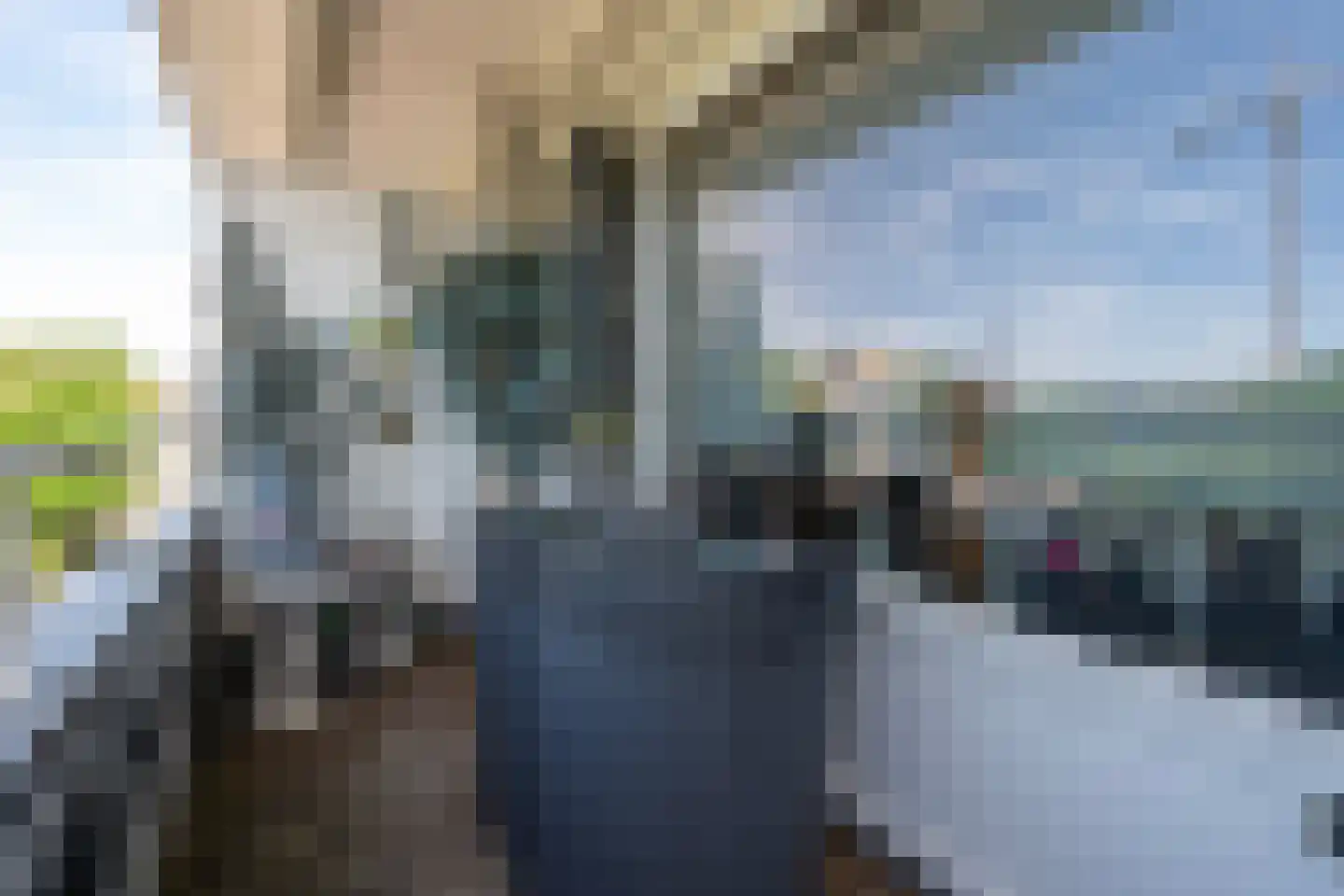 Enschotsestraat 365 Tilburg thumbnail 23