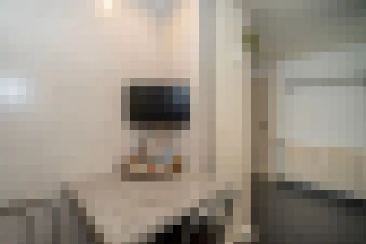 Enschotsestraat 365 Tilburg thumbnail 30