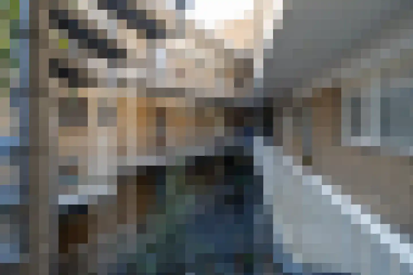 Enschotsestraat 369 Tilburg thumbnail 10