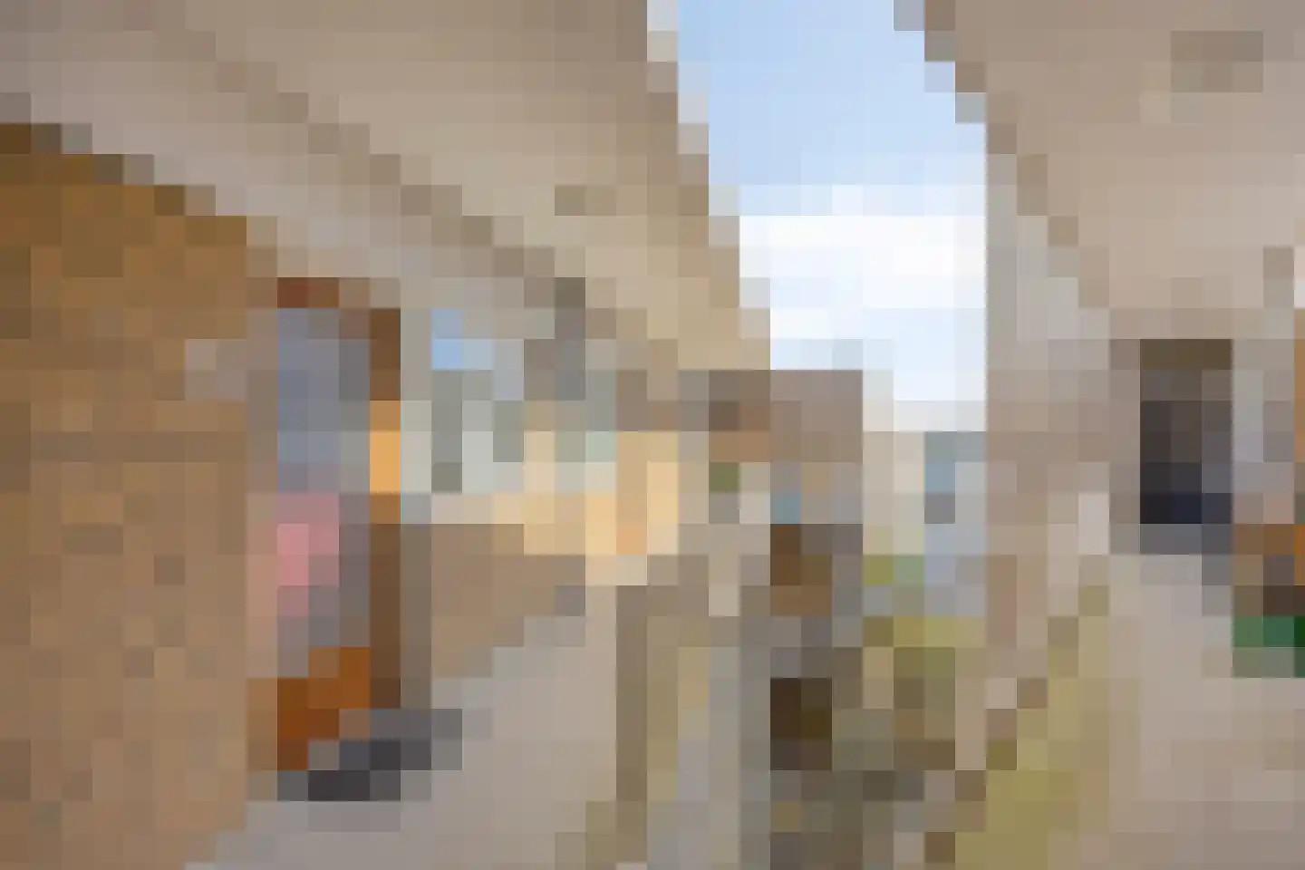 Enschotsestraat 375 Tilburg thumbnail 10