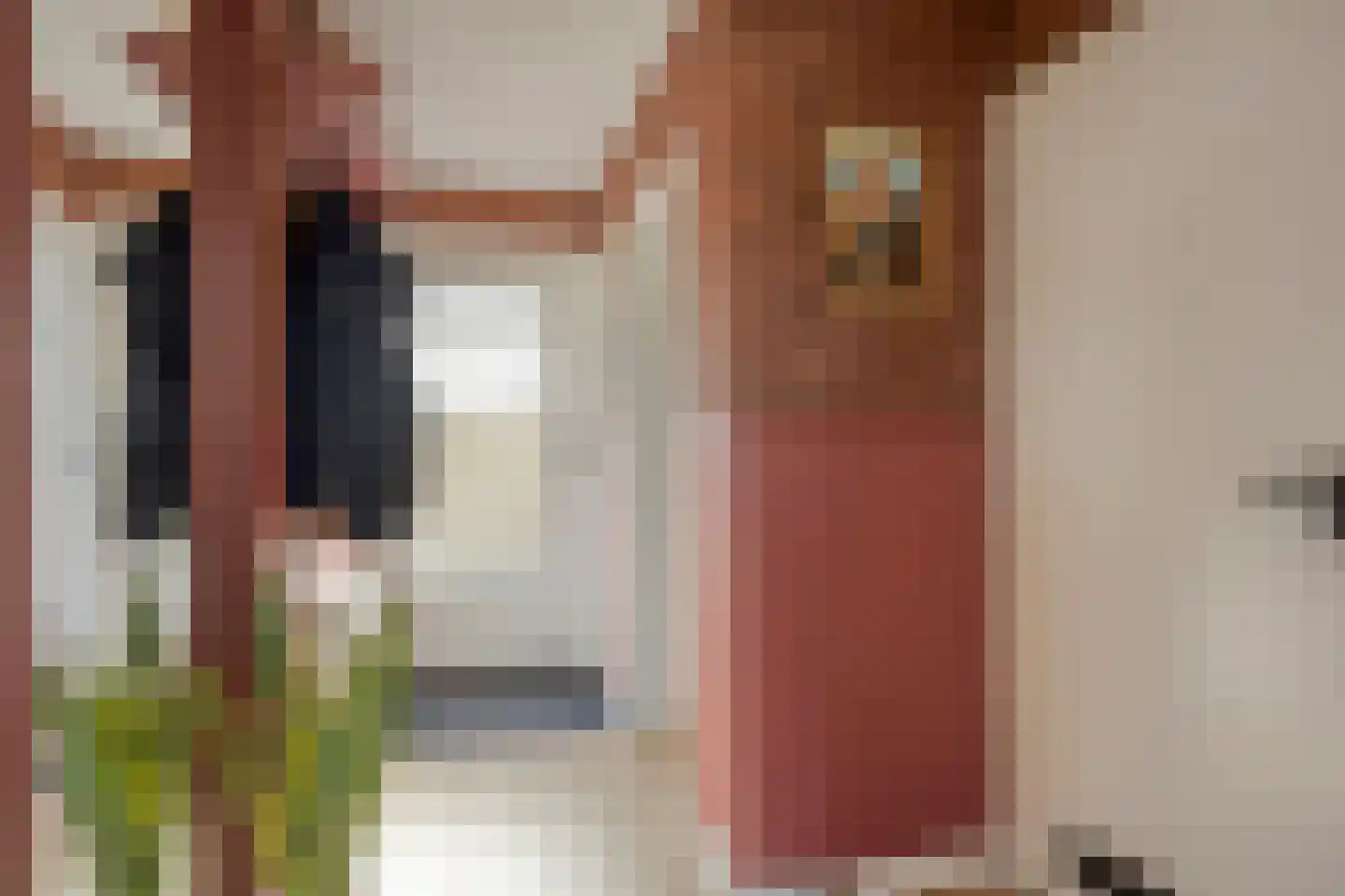 Enschotsestraat 375 Tilburg thumbnail 11