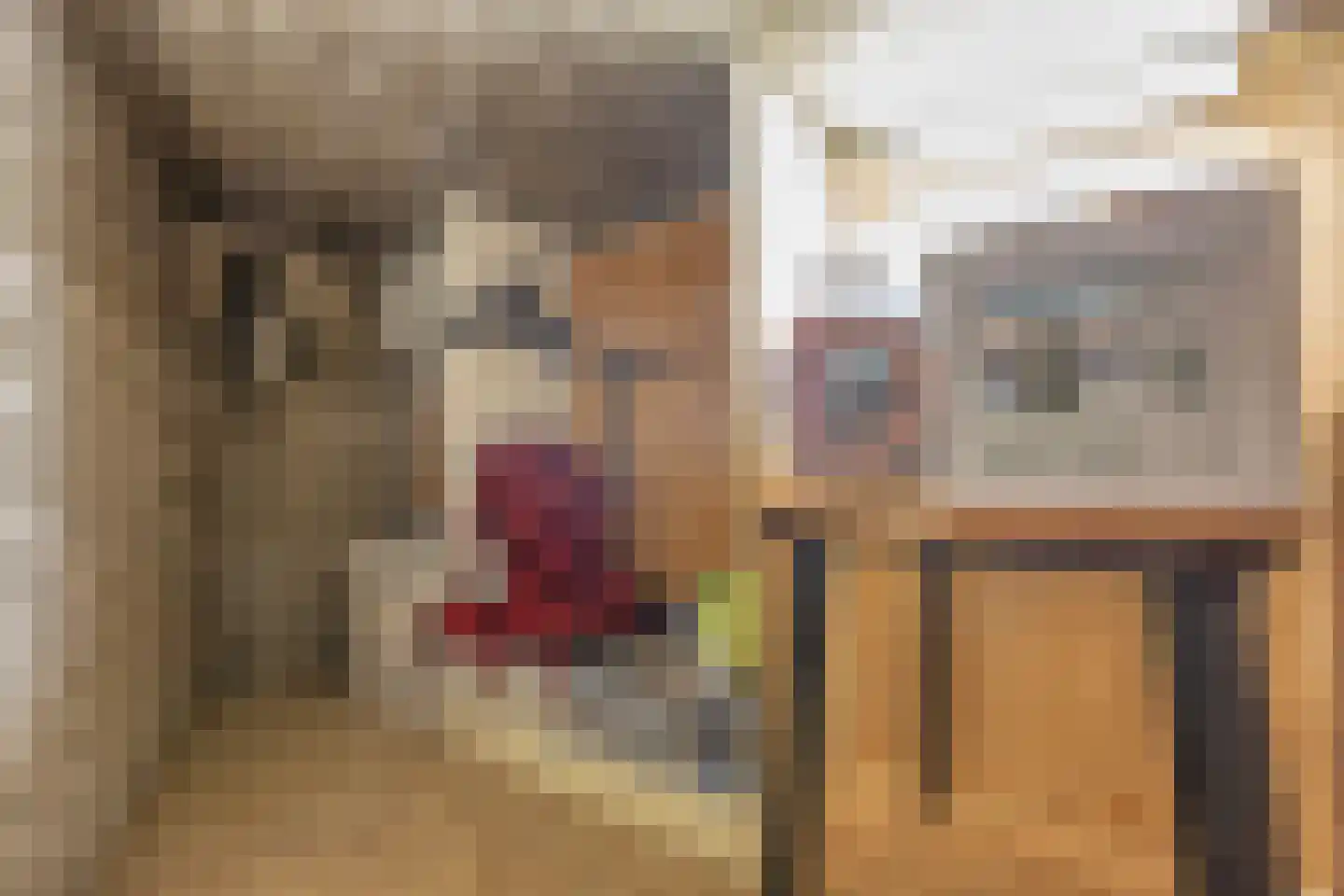 Enschotsestraat 375 Tilburg thumbnail 32