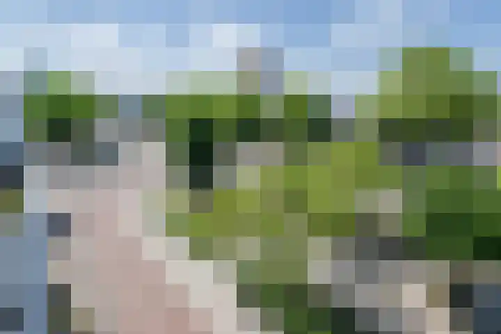 Enschotsestraat 379 Tilburg thumbnail 20