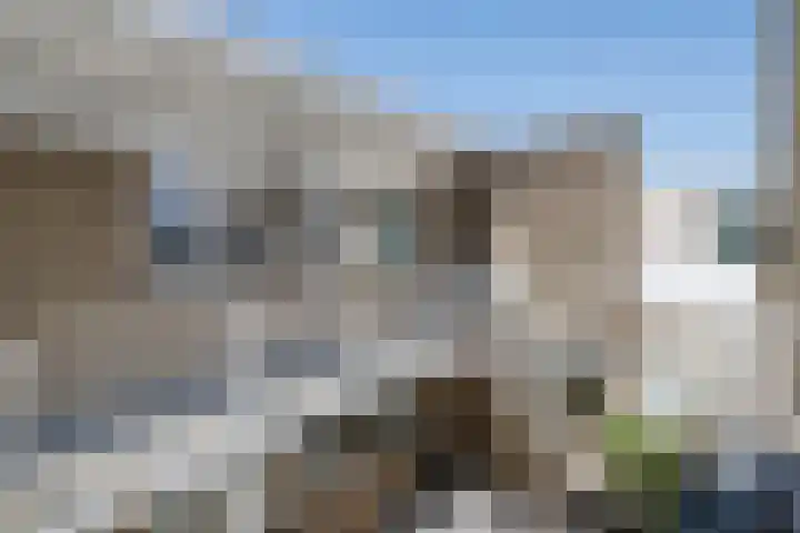 Enschotsestraat 379 Tilburg thumbnail 7