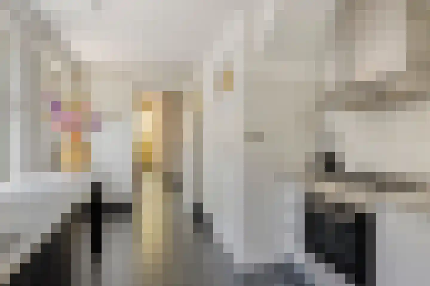 Enschotsestraat 96 Tilburg thumbnail 18