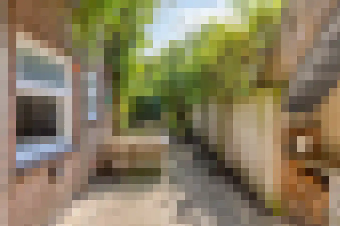 Enschotsestraat 96 Tilburg thumbnail 28