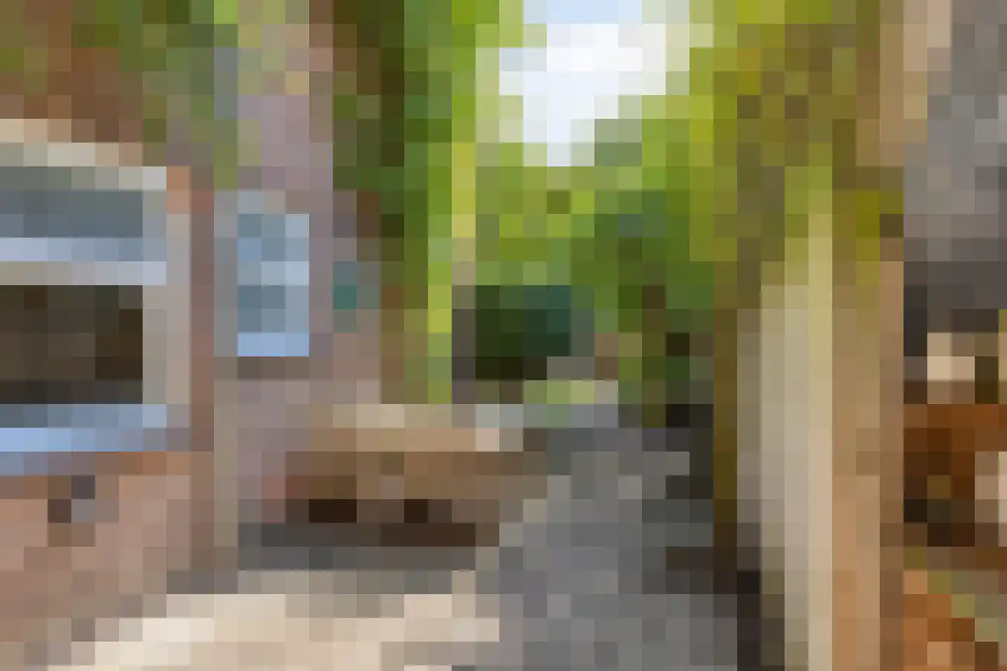 Enschotsestraat 96 Tilburg thumbnail 29
