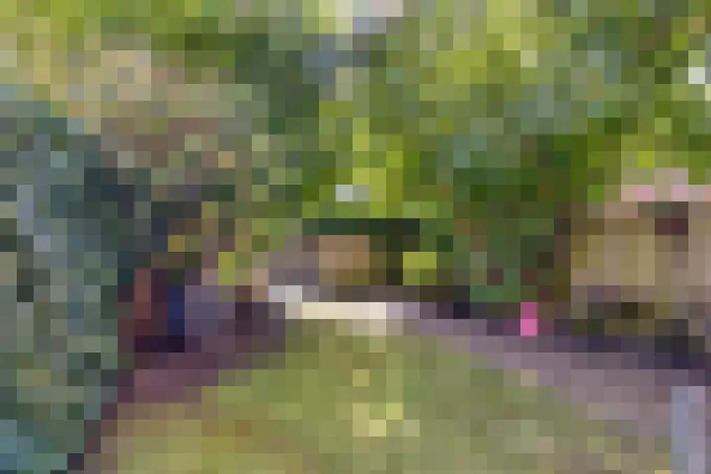 Enschotsestraat 96 Tilburg thumbnail 32