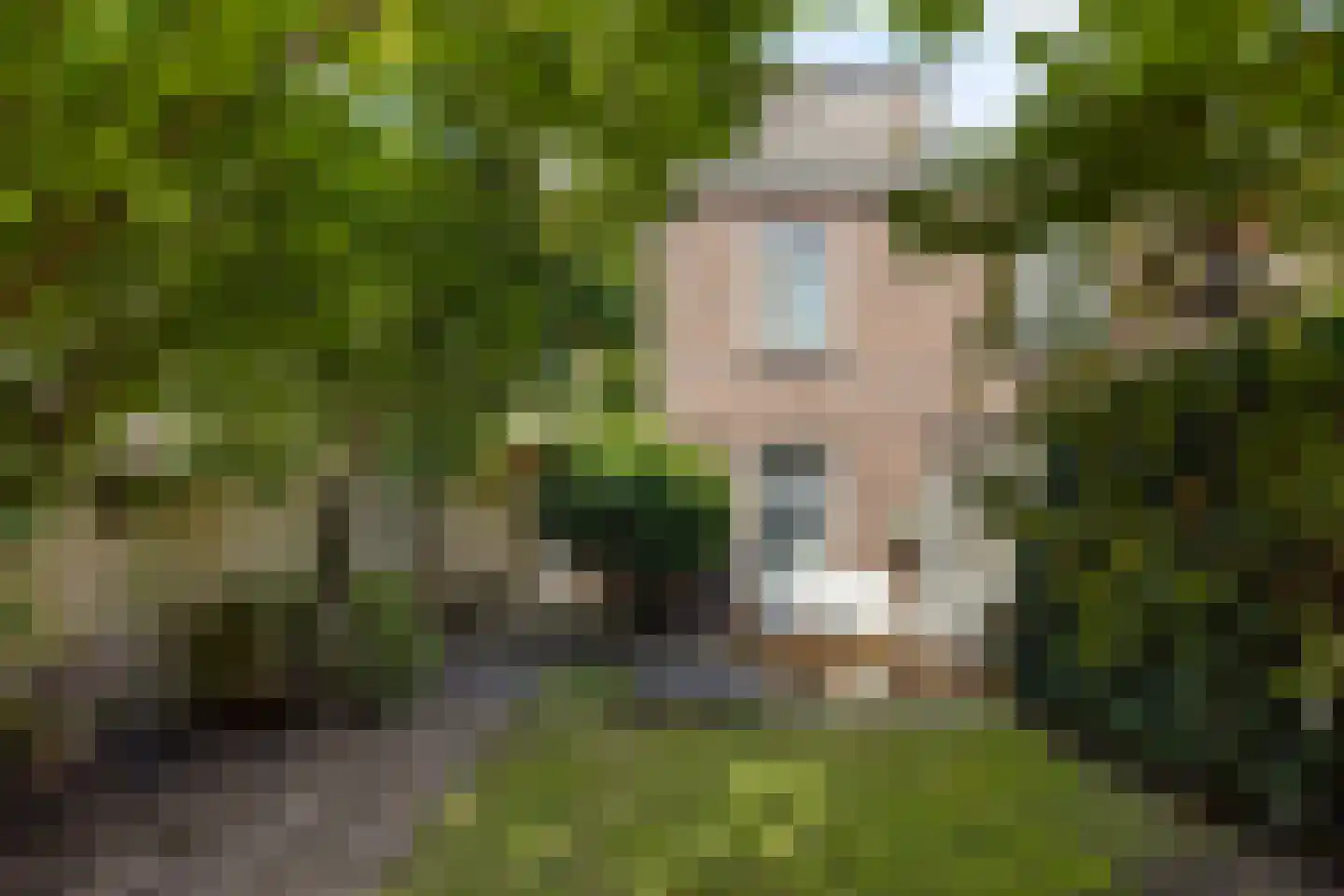 Enschotsestraat 96 Tilburg thumbnail 35