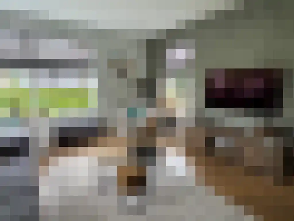 Ensink 18 Goor thumbnail 5