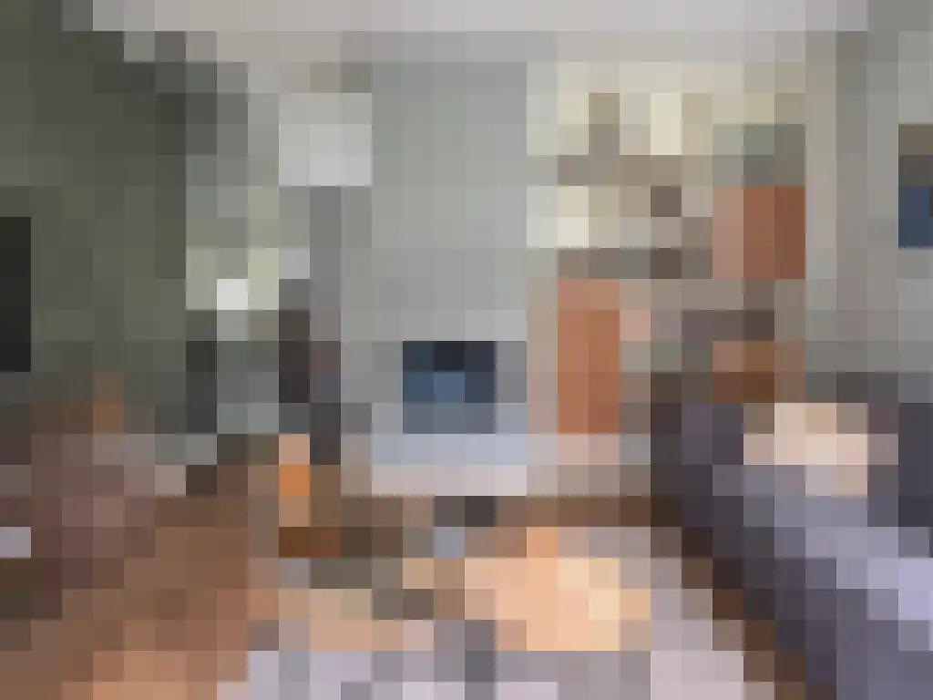 Ensink 18 Goor thumbnail 6