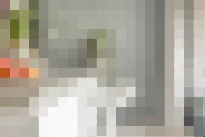Ensink 19 Goor thumbnail 11