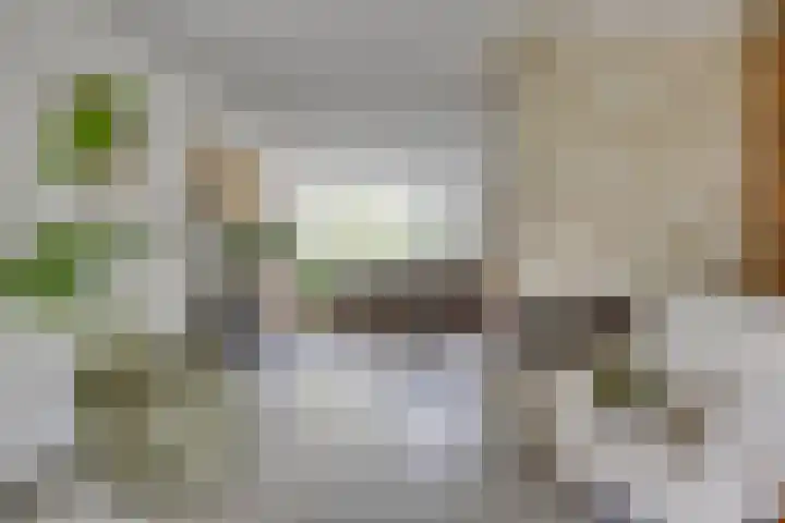 Ensink 19 Goor thumbnail 13