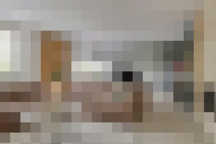Ensink 19 Goor thumbnail 15