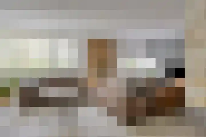 Ensink 19 Goor thumbnail 16