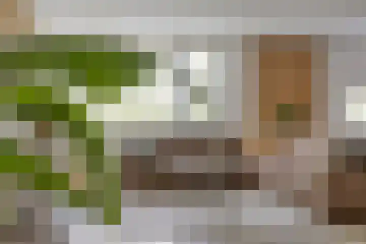 Ensink 19 Goor thumbnail 17