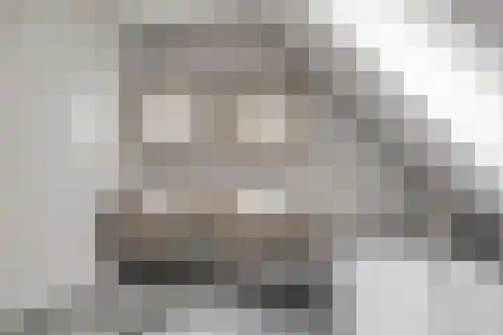 Ensink 19 Goor thumbnail 28