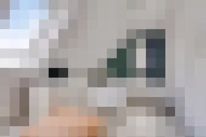 Ensink 19 Goor thumbnail 30