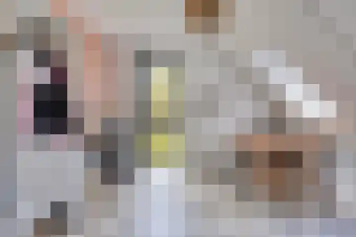 Ensink 19 Goor thumbnail 31