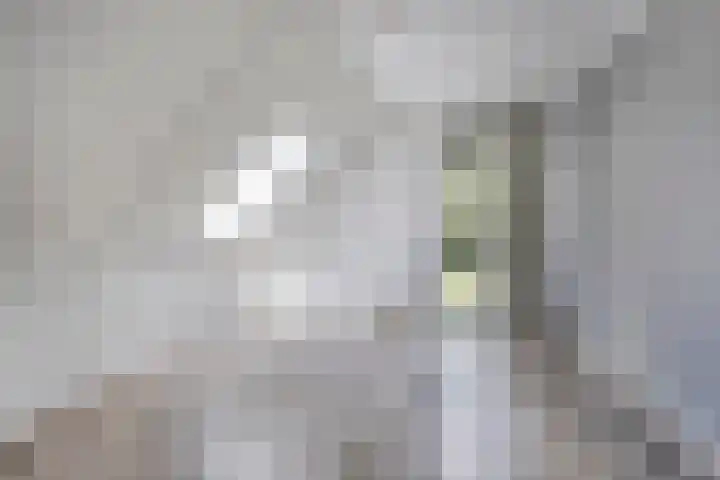 Ensink 19 Goor thumbnail 32
