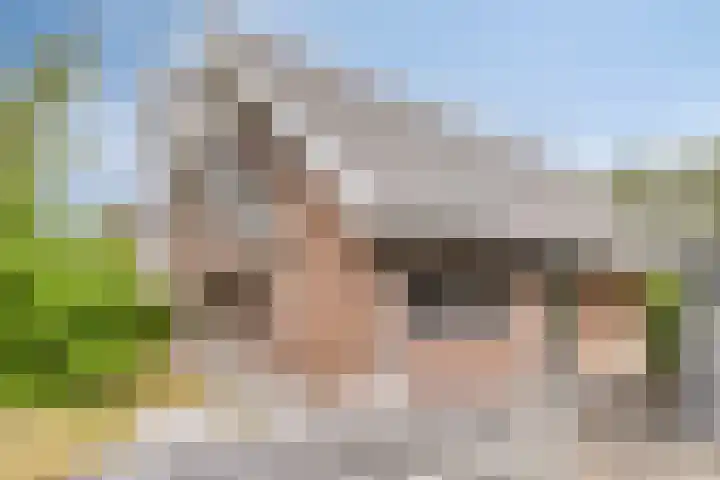Ensink 19 Goor thumbnail 34