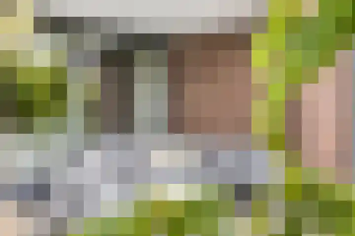 Ensink 19 Goor thumbnail 35