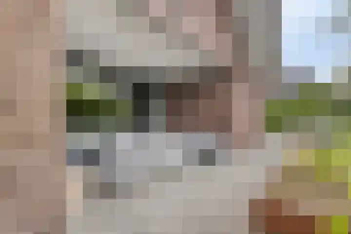 Ensink 19 Goor thumbnail 37