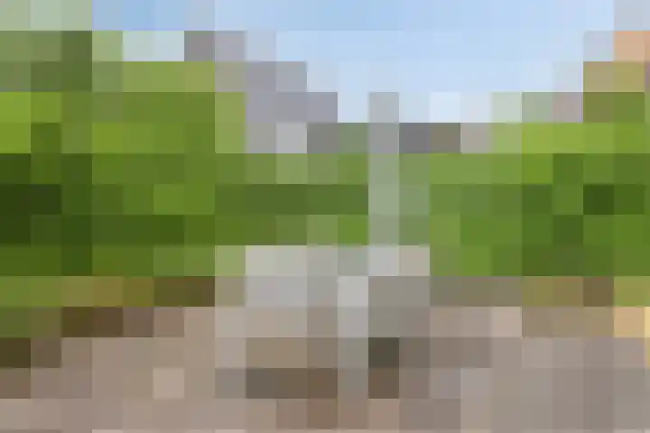 Ensink 19 Goor thumbnail 38