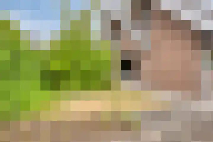 Ensink 19 Goor thumbnail 39