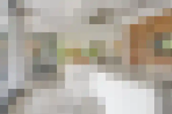 Ensink 19 Goor thumbnail 4