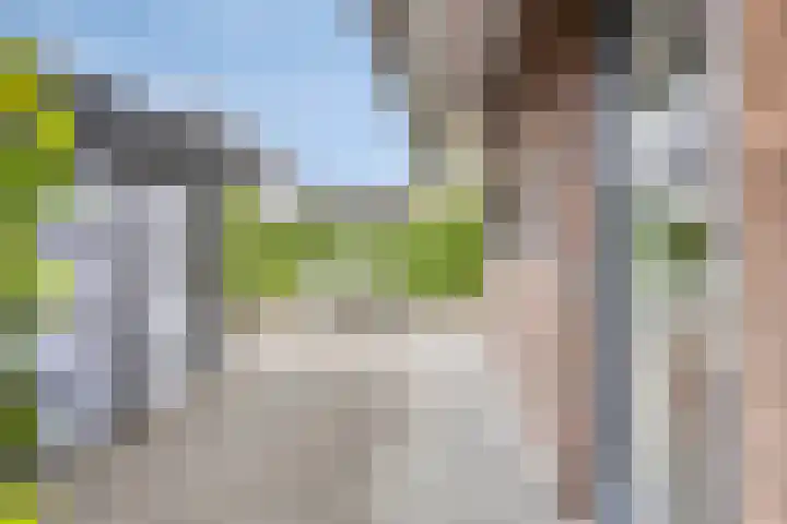 Ensink 19 Goor thumbnail 40