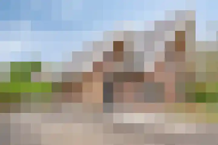 Ensink 19 Goor thumbnail 41