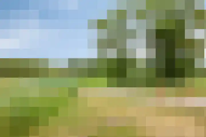 Ensink 19 Goor thumbnail 44