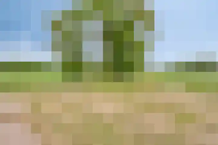 Ensink 19 Goor thumbnail 45