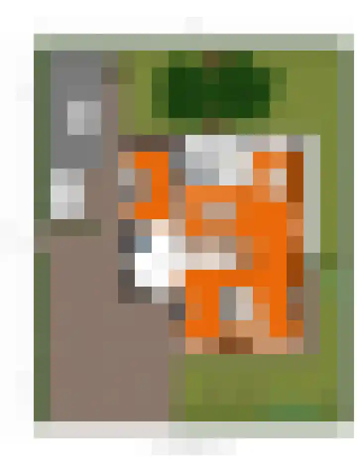 Ensink 19 Goor thumbnail 50