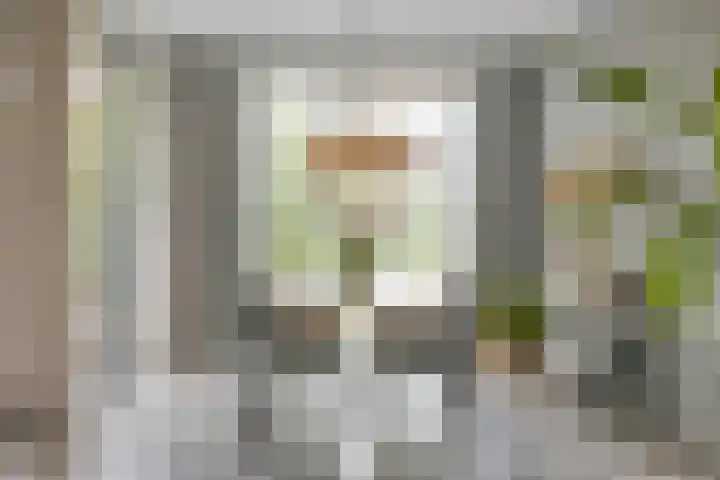 Ensink 19 Goor thumbnail 6