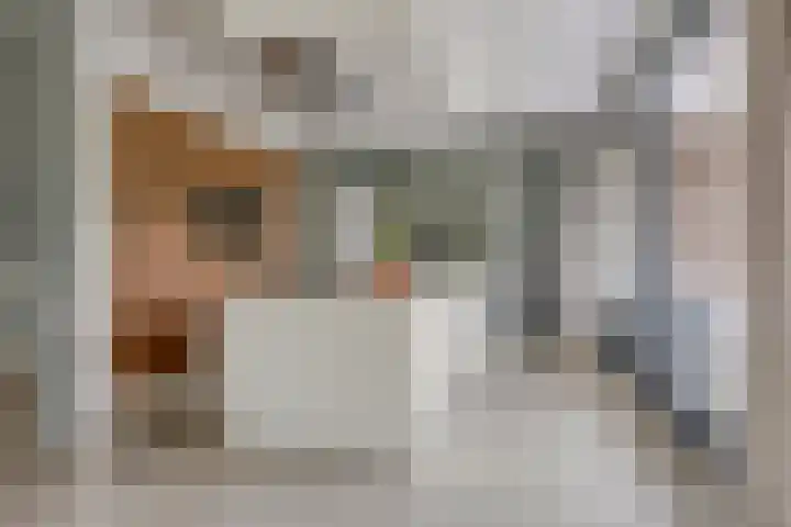 Ensink 19 Goor thumbnail 7