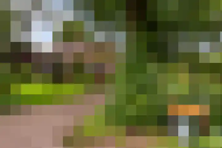 Ensinkgoorsdijk 7 Markelo