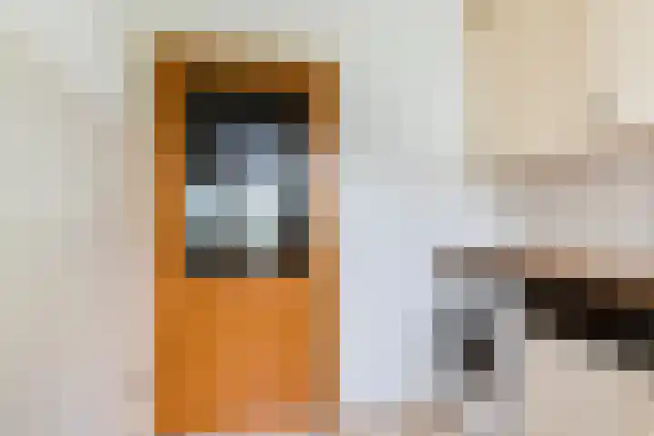 Ensinkgoorsdijk 7 Markelo thumbnail 11