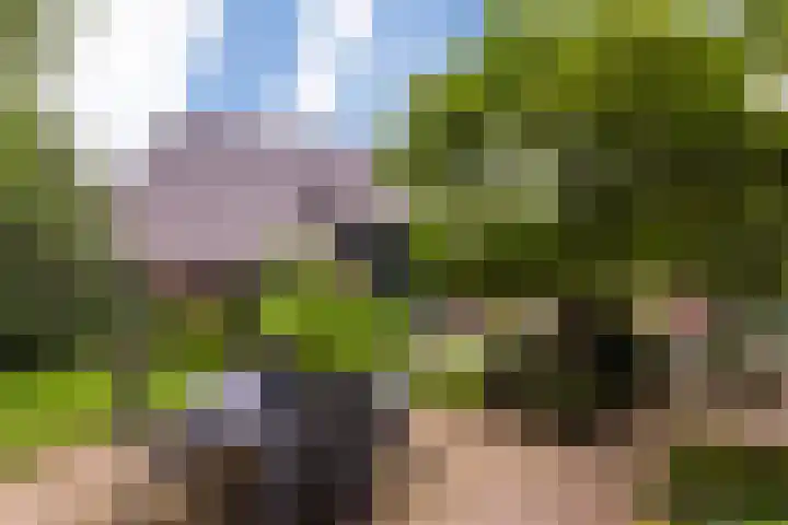 Ensinkgoorsdijk 7 Markelo thumbnail 17