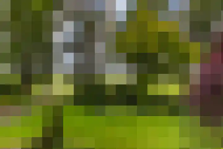 Ensinkgoorsdijk 7 Markelo thumbnail 18