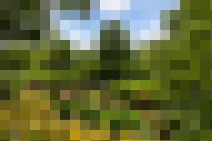 Ensinkgoorsdijk 7 Markelo thumbnail 19