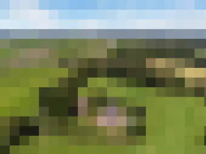 Ensinkgoorsdijk 7 Markelo thumbnail 21