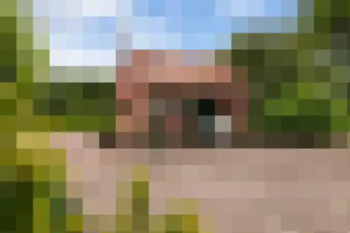 Ensinkgoorsdijk 7 Markelo thumbnail 22