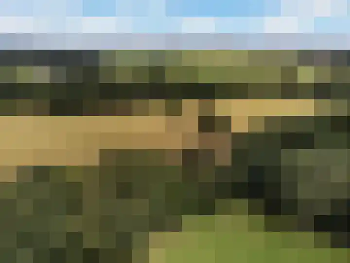 Ensinkgoorsdijk 7 Markelo thumbnail 24