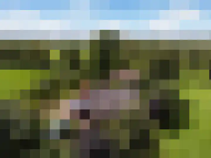 Ensinkgoorsdijk 7 Markelo thumbnail 26