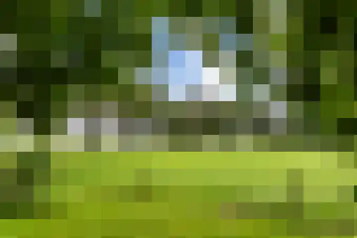 Ensinkgoorsdijk 7 Markelo thumbnail 27