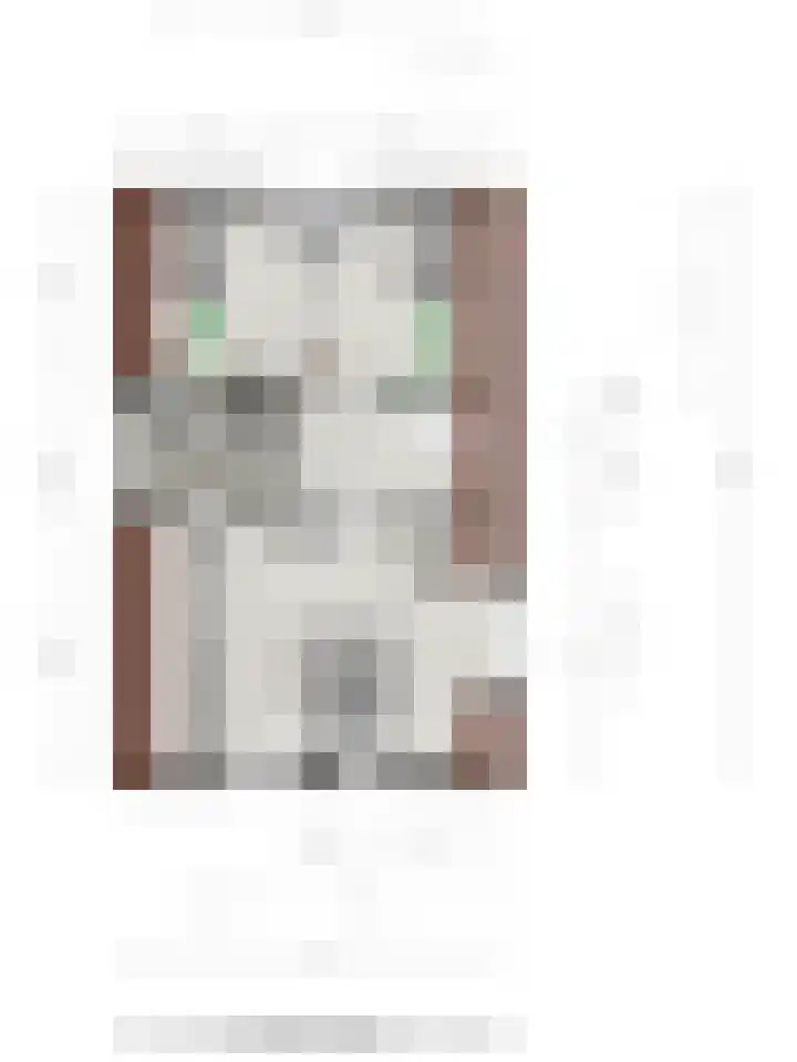 Ensinkgoorsdijk 7 Markelo thumbnail 29